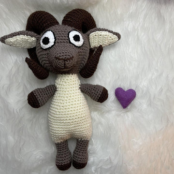 Zodiac Aries