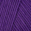 Purple Hyacinth (1986)