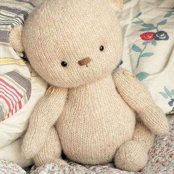 Teddy Bear Toy