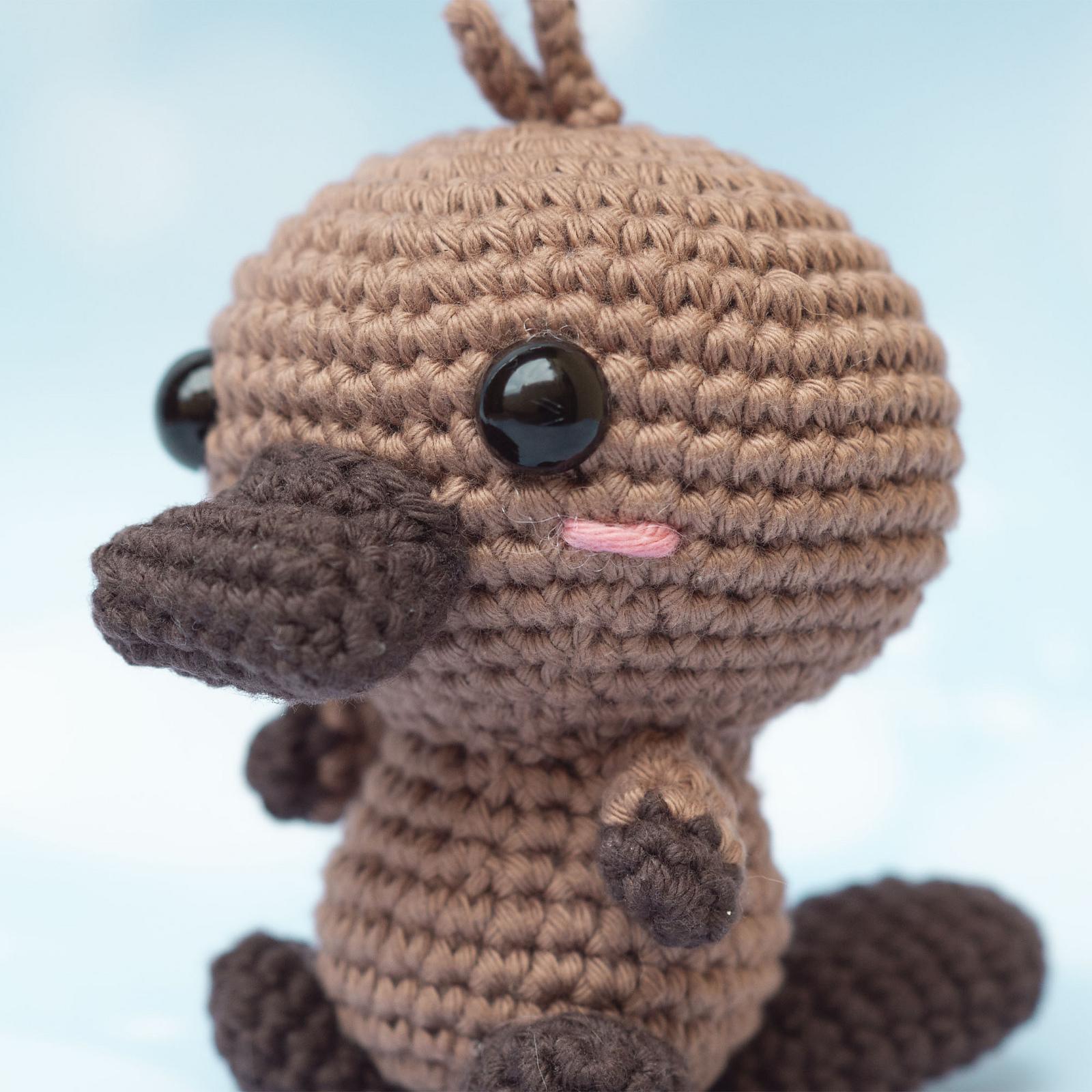 Baby Platypus