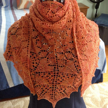 Farewell Winter Shawl