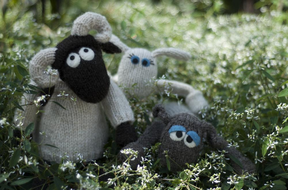 Wee Blackface Sheep (Version 2)