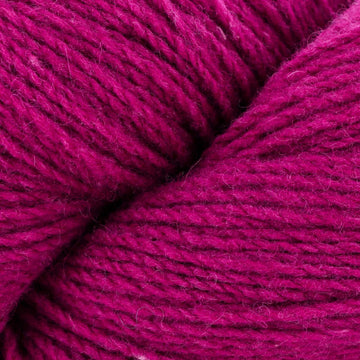 Dragonfruit (155)
