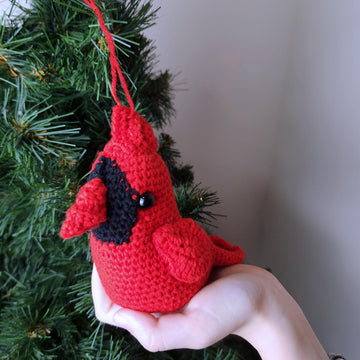 Red Cardinal bird