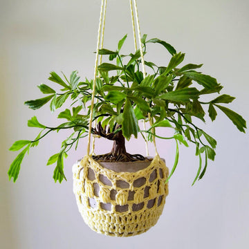 Crochet Plant Hanger Pattern Indoor Hanging Pot Holder Outdoor Plant Display Pattern Beginner DIY Plant Decor Macrame Style Crochet
