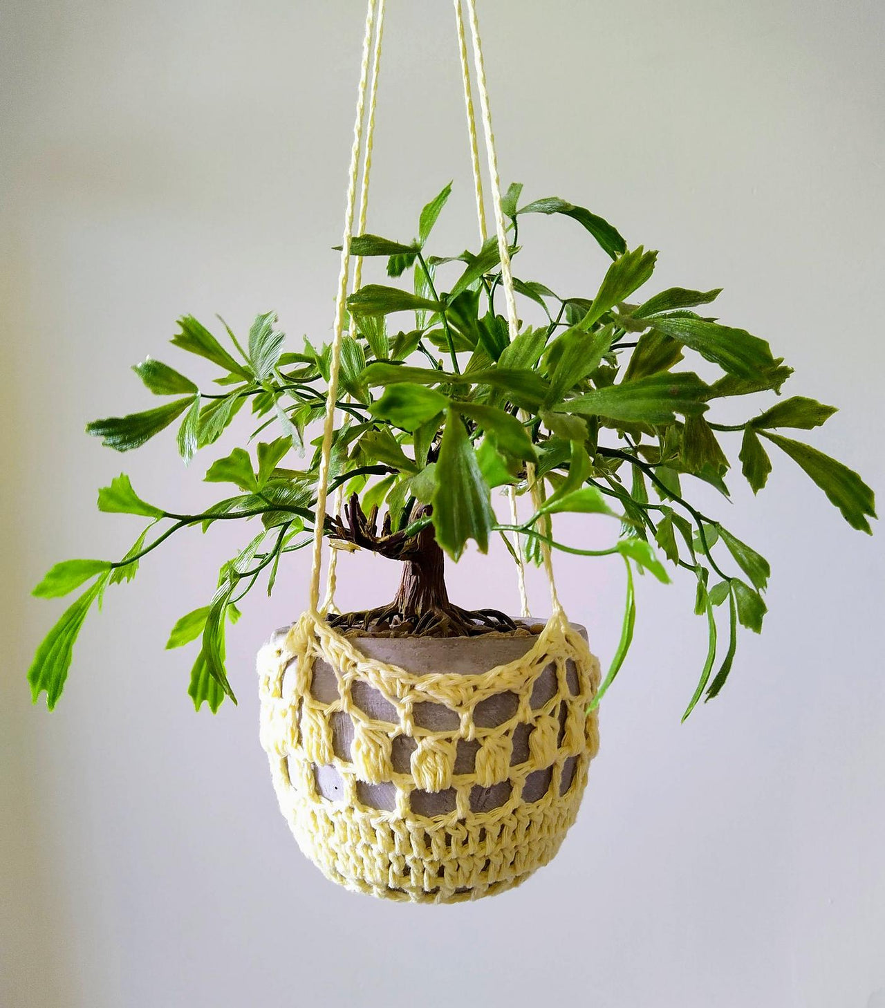 Crochet Plant Hanger Pattern Indoor Hanging Pot Holder Outdoor Plant Display Pattern Beginner DIY Plant Decor Macrame Style Crochet