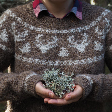 Hazy Shade of Winter Sweater