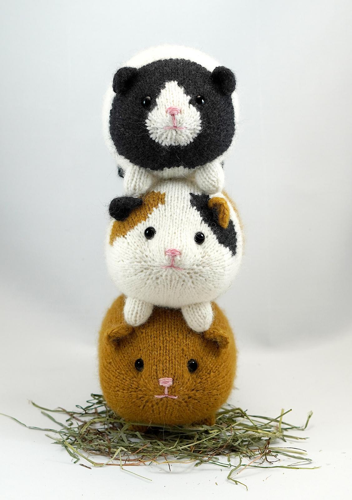 Garden Variety Guinea Pigs