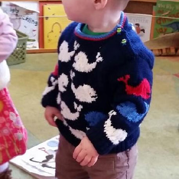 Pod of Whales Baby Sweater and Hat