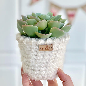 The Pirouette Planter 055