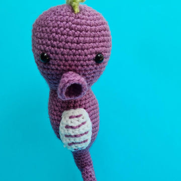 Sami the Seahorse