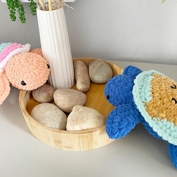 Teddy Bear Turtle