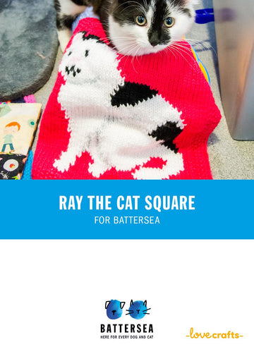 Ray Blanket for Battersea