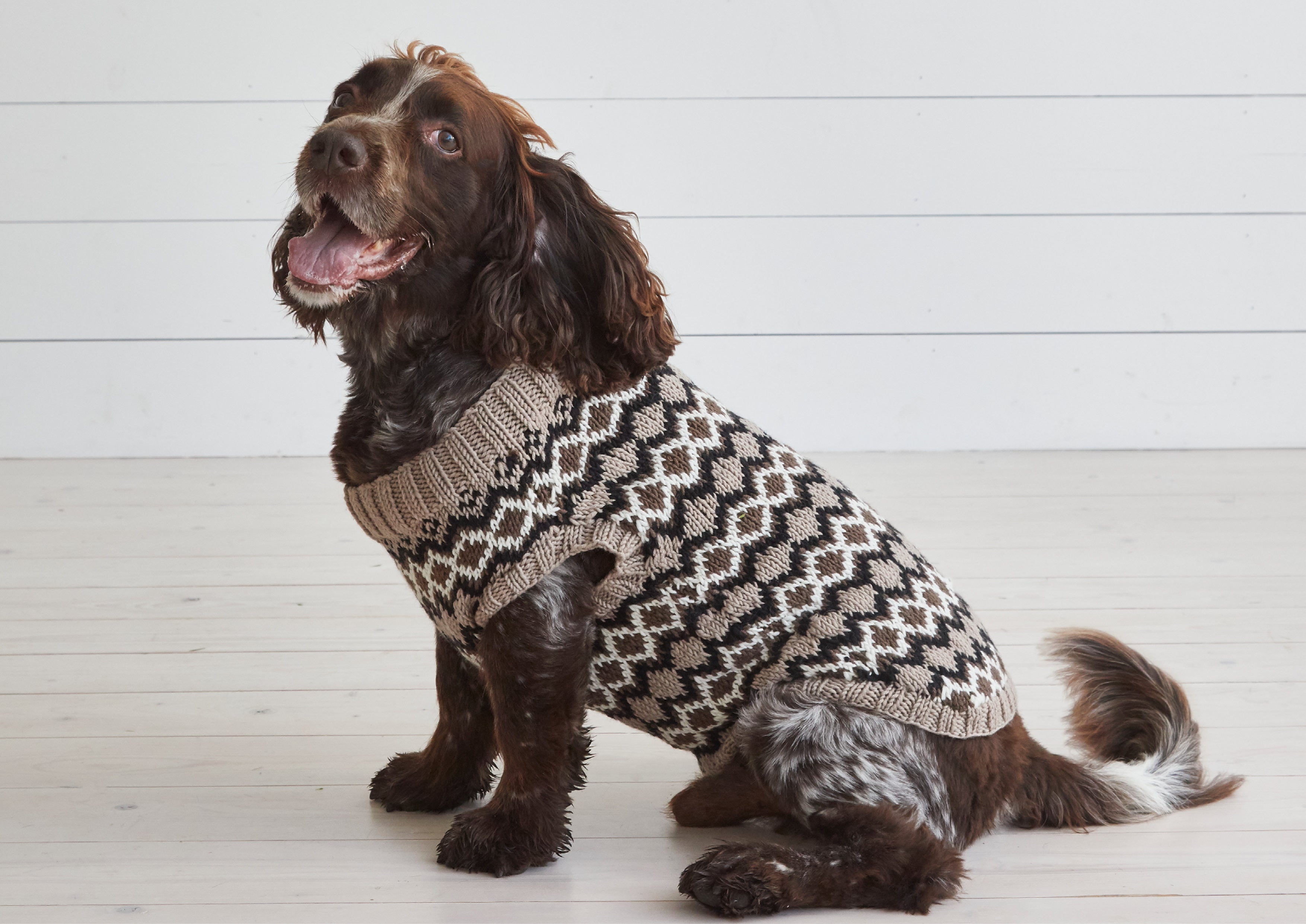 AprÃ©s Ski - Dog Jumper Knitting Pattern For Pets in Debbie Bliss Rialto Aran by Debbie Bliss
