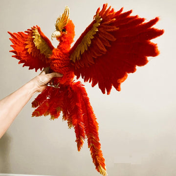Adult phoenix