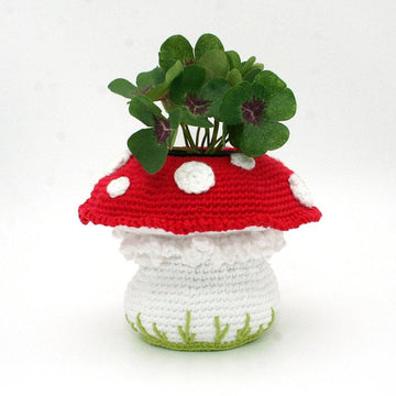 Mushroom - Lucky Charm