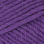 Pansy Purple (947)