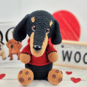 Dachshund
