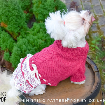 Lace cherry dress for dog