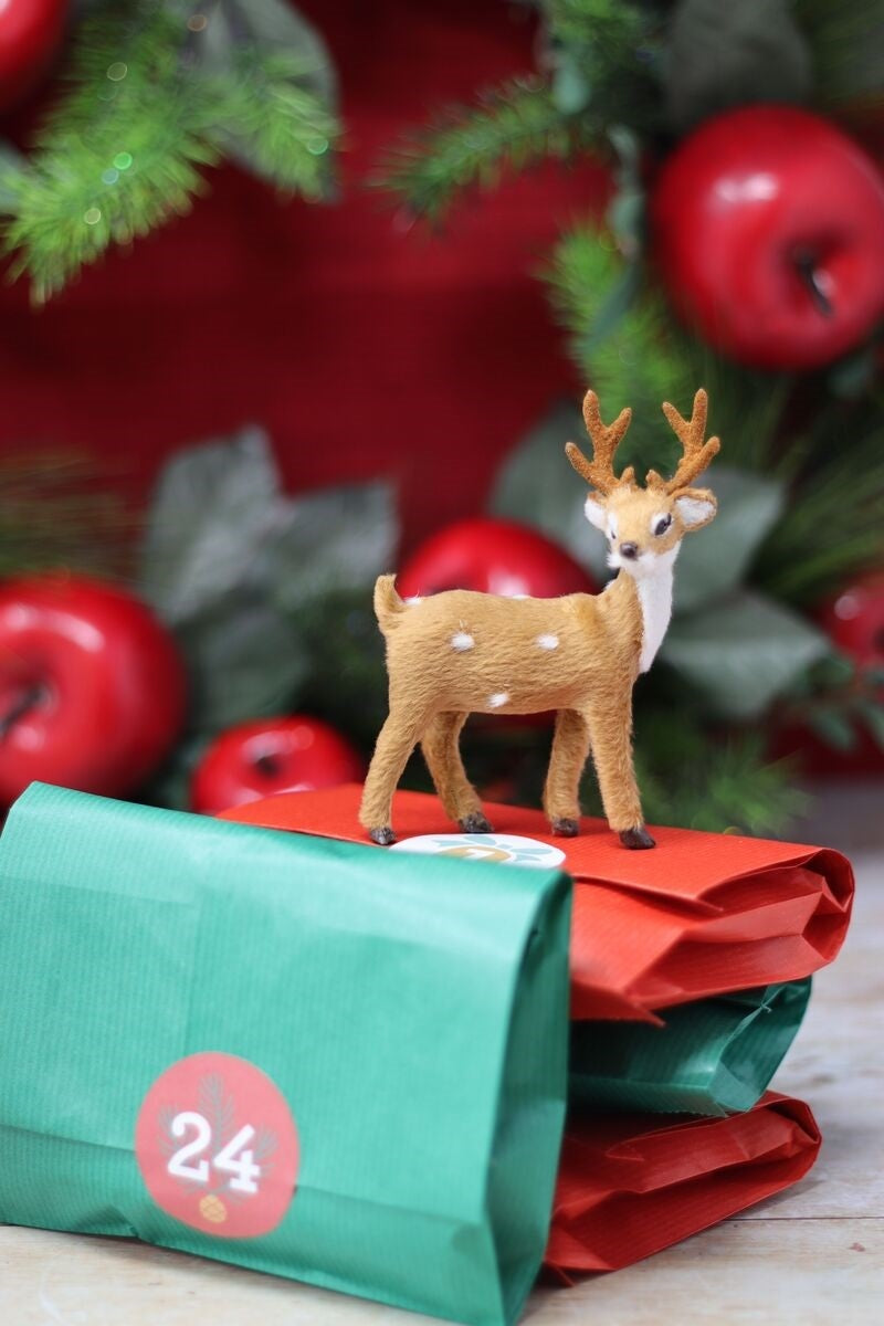 The Crafty Kit Company Ltd 2021 Advent Calendar Needle Felting Kit - 300W x 270H x 200D