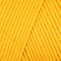 Sunflower (10549)