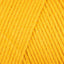 Sunflower (10549)