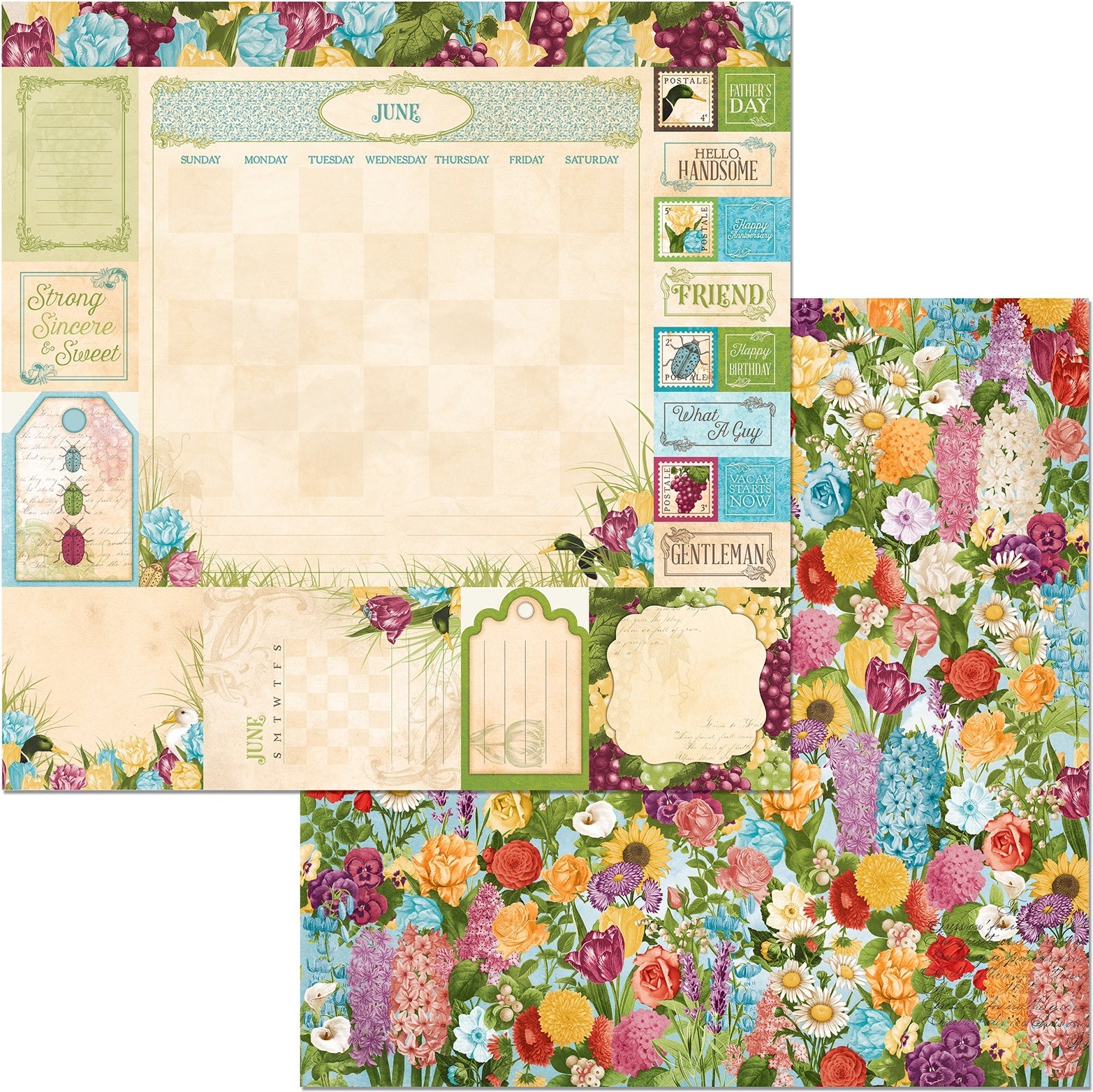 American Crafts Time & Place Double-Sided Cardstock 12"X12" 25/Pkg - June