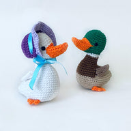 Bonnet Duck and mallard duck