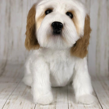 Shichon Dog Crochet