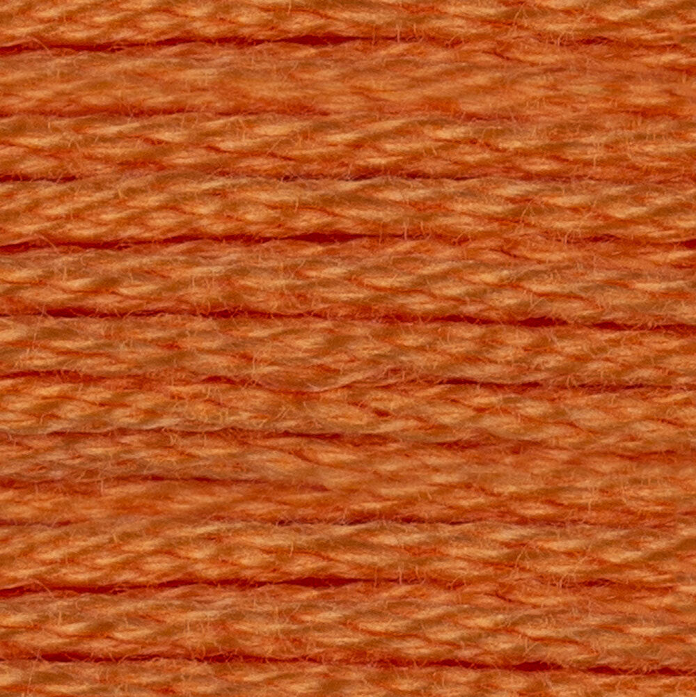 DMC Stranded Cotton - Warm Shades