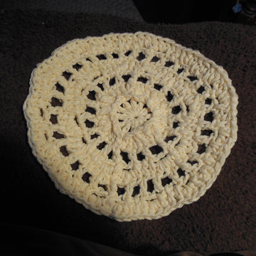 Paddle Wheel Dishcloth