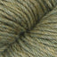 Lichen (10)