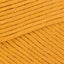 Glorious Gold (666)
