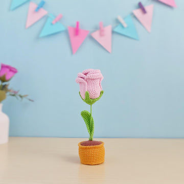 Closed Rose