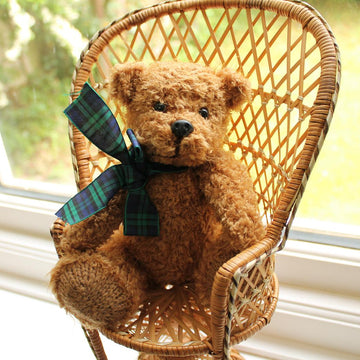 Classic Teddy