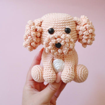 Camille the Cavoodle