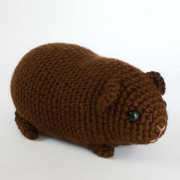 Chubby guinea pig