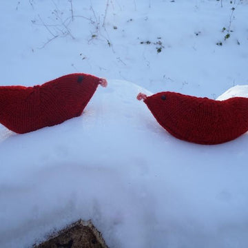 Love Birds