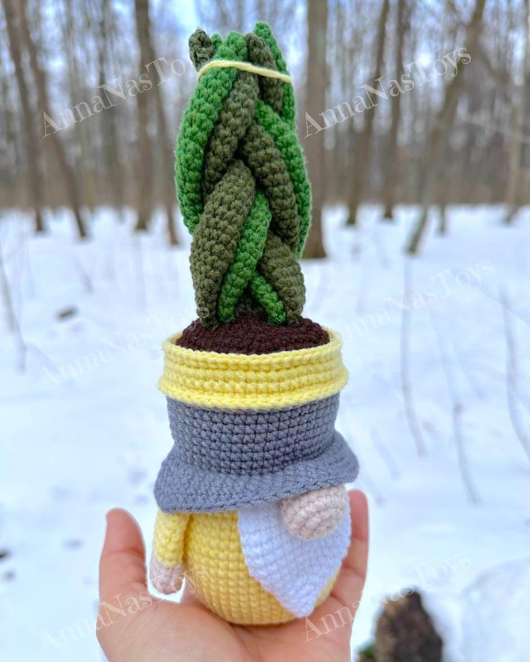 Gnome succulent-sansevieria 2