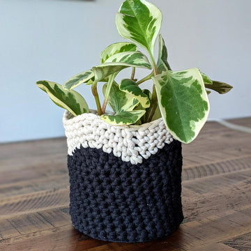 Two Tone Wavy Pot Cover