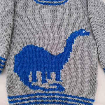 Dinosaur Sweater - Brontosaurus