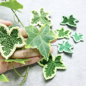 Variegated ivy leaves