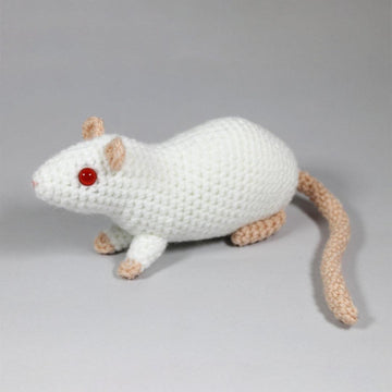Fancy rats