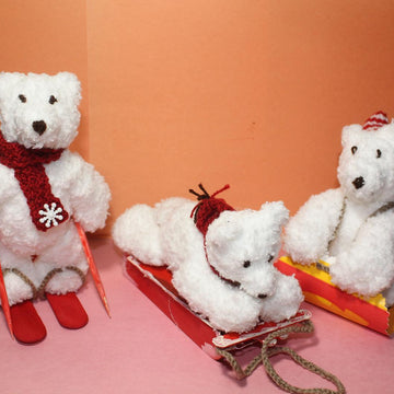 Polar Bears At Play