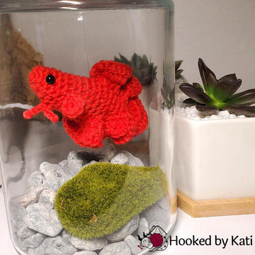 Betta Fish