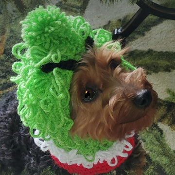 Grinch Inspired Dog Hood