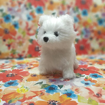 Realistic Dog Spitz