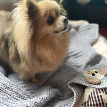 Woodgreen - Simple and Sweet Dog or Cat Blanket