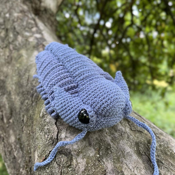 Trilobite