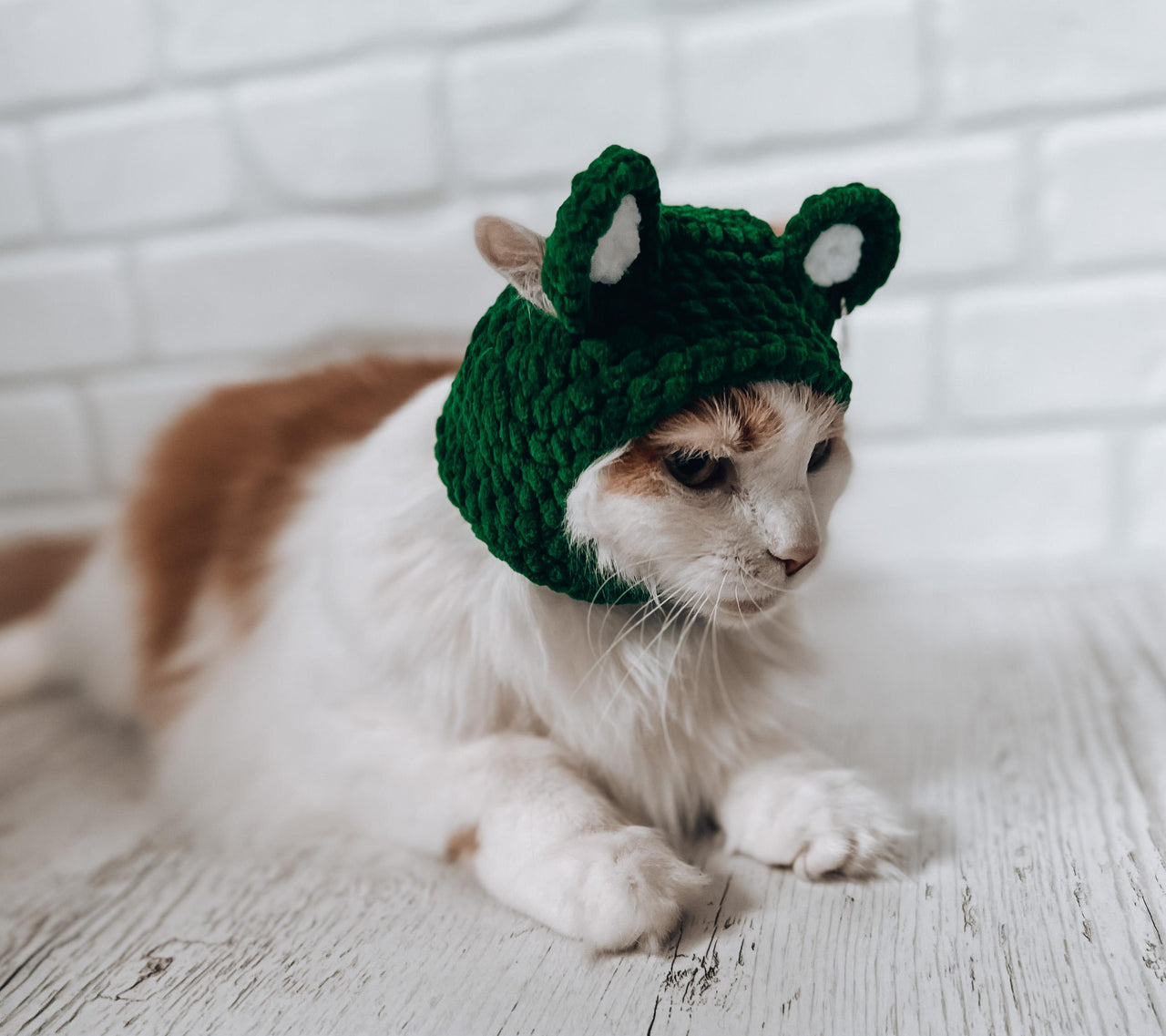 Pets balaclava